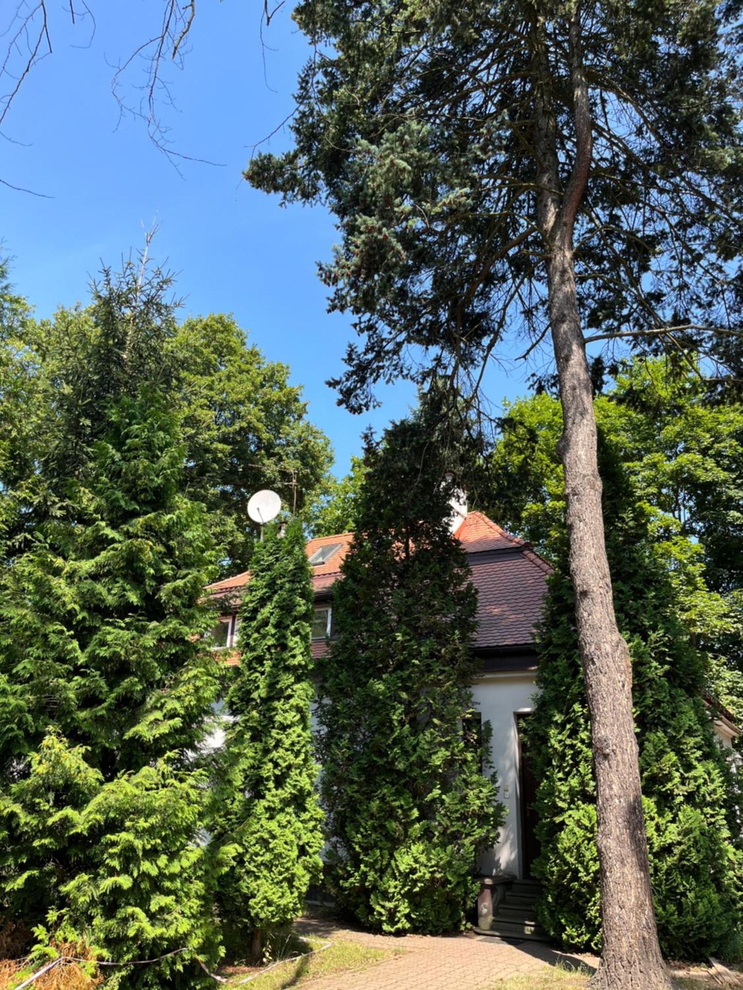 Dedek Park - Historyczny Dworek W Pieknym Parku Skaryszewskim Obok Stadionu Narodowego Varsóvia Exterior foto
